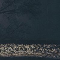 Fog Lake - Virgo Indigo