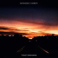 Schwizzle - Toilet Dreaming