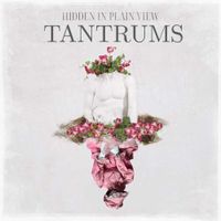 Hidden In Plain View - Tantrums