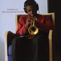Kareem Ali - The Color of Sound