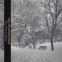 James Jackson Jazz Trio - Winter in New York