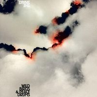 Wildbirds & Peacedrums - The Snake