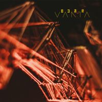 BEAR - VANTA