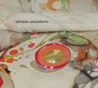 Adriana Calcanhotto - O Micr&oacute;bio do Samba
