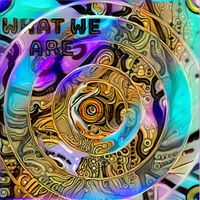 StrykerSteele - What We Are