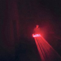 POLYWHY - Wanton Psalms