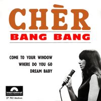 Cher - Bang Bang (My Baby Shot Me Down)