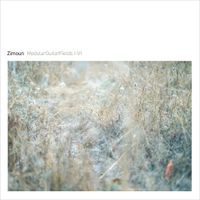 Zimoun - ModularGuitarFields I-VI