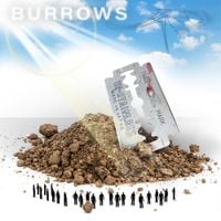 Aceii - Burrows