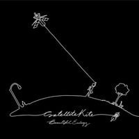 Beautiful Eulogy - Satellite Kite
