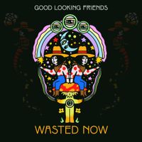 Good Looking Friends - Wasted Now
