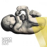 Wado - Samba 808
