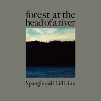 Spangle call Lilli line - Forest at the Head of a River