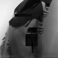 Public Memory - Veil of Counsel