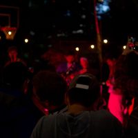 Passion Mango - Garden Party