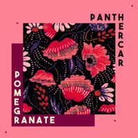 Panther Car - Pomegranate