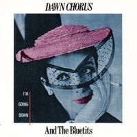Dawn Chorus and the Bluetits - I'm Going Down