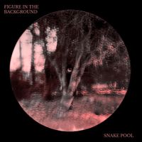 SNAKE POOL - FIGURE IN THE BACKGROUND