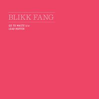 Blikk Fang - Go to Waste / Lead Huffer