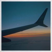 Liam Phelan - Goodbye.