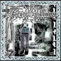 Gardnn - SNOWCALLING
