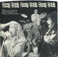 Cheap Trick - I Want You to Want Me (Live)