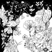 Marumaru - This Time Next Year