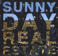 Sunny Day Real Estate - Flatland Spider