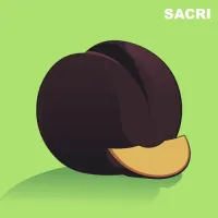 sacri - Plums For The Road