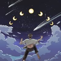 Michael The Author - FALLING OR FLYING?