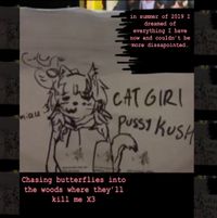 in summer of 2019 i dreamed of everything i have now and couldnt be more dissapointed - chasing butterflies into the woods where they'll kill me X3