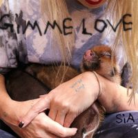 Sia - Gimme Love (Reasonable Woman Version)