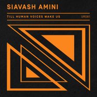 Siavash Amini - Till Human Voices Wake Us