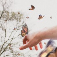 Ryan Hall - CHASING BUTTERFLIES
