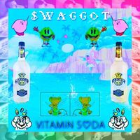 $WAGGOT - ViTAMiN S♡DA