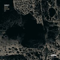 Survey - Basic Motion EP