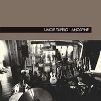 Uncle Tupelo - Anodyne