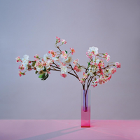 mxmtoon - plum blossom (revisited)