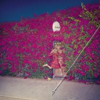 Feist - Pleasure