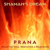Shaman's Dream - Prana: Music for Yoga, Meditation, & Relaxation