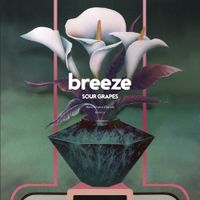 Breeze - Sour Grapes