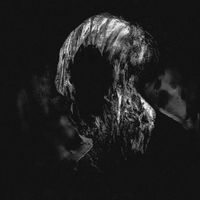 Our Common Collapse - Languish