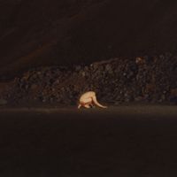 Lecx Stacy - A GLINT IN THE HOLOCENE!