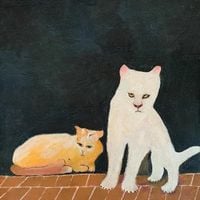Duster - What Are You Waiting For