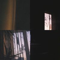 Rippedd - disappeared?