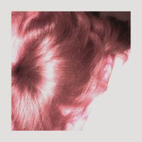 Rippedd - window daydreamers