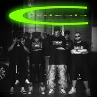 PRNY, RAVA, Ravisval & Rafoo - CARDEALA
