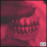 SpaceGhostPurrp - FLORIDA BABY