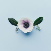Sunsleeper - Stay the Same
