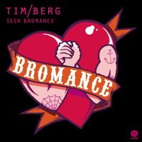 Avicii - Seek Bromance